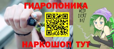 шишки Ирбит