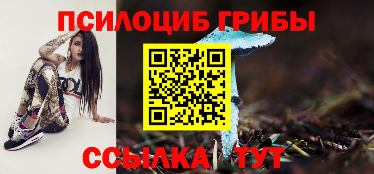 Псилоцибиновые грибы прущие грибы Воскресенск